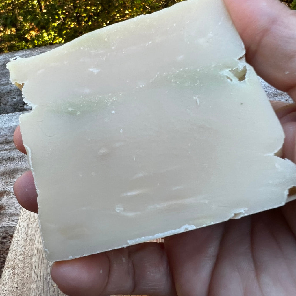 Cypress & Hinoki Bar Soap | 5 oz
